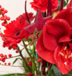 Boeket Bloemen Rouge Noelle