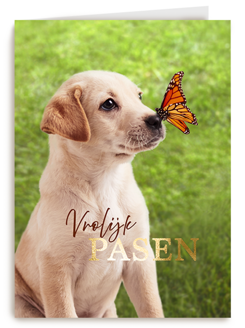 Kaart Hallmark | Pasen | Pasen Vrolijk Hond Vlinder