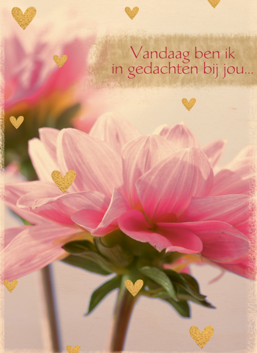 Houten Kaart Moederdag | Houten Kaart Hallmark | Moederdag | Moederdag Kaart Vandaag Ben Ik In Gedachten Bij Jou