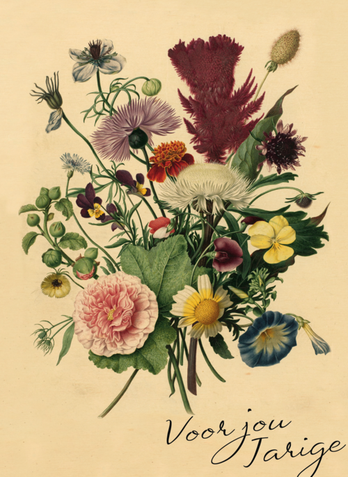 Houten Kaart Verjaardagskaarten | Studio Art Kaart Van Schilderij Voor Een Jarige Jet