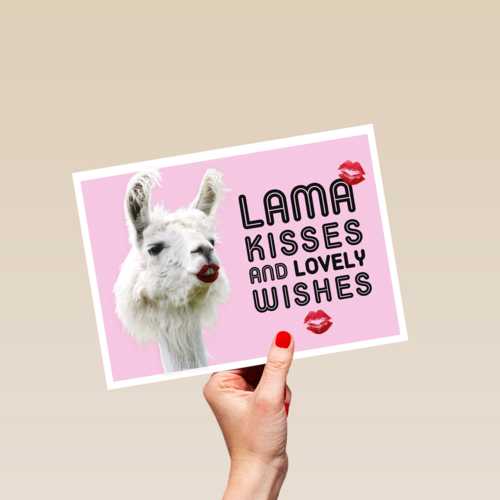lama kisses and wishes
