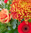 Boeket Bloemen Festive Fall