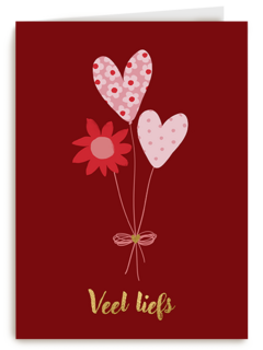 Valentijn Bosje Veel Liefs