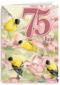verjaardag leeftijden marjolein bastin 75