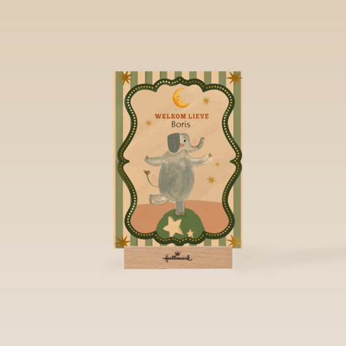 Welkom lieve olifant