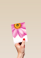 grote roze gerbera