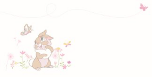 disney baby hoera een lief zusje