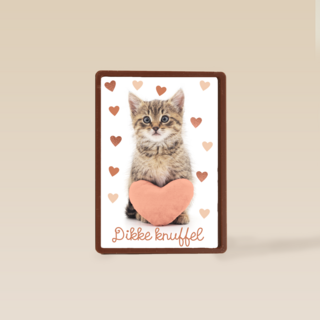 Liefde kaart kat met hart en dikke knuffel