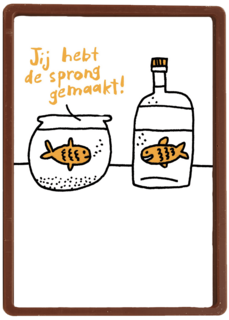 je hebt de sprong gemaakt