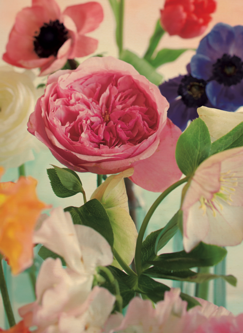 Houten Kaart | Bloem Bloemen