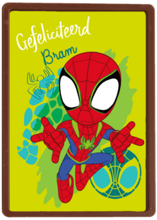 Gefeliciteerd Spidey and Friends