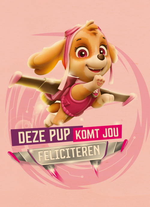 Paw Patrol deze pup komt jou feliciteren
