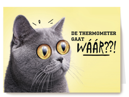 animal fiesta de thermometer gaat waar