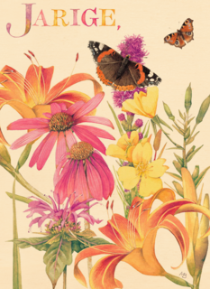 voor de jarige gekleurde bloemen en vlinders