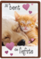 Valentijn Jij bent de liefste hond kat
