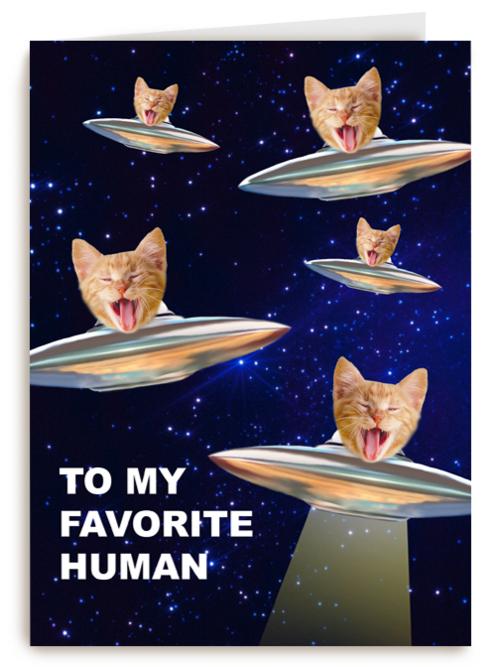 To my favorite human