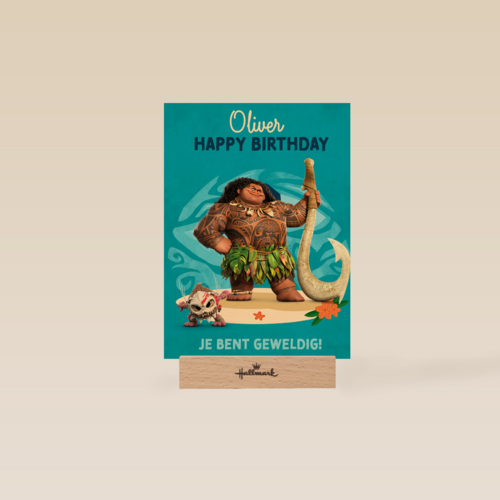 Disney Vaiana Je Bent Geweldig