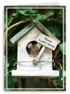 Verhuisd muis huisje
