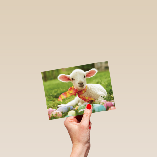 schattig lammetje met een sjaaltje en paaseitjes om zich heen