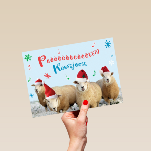 schapen prettig kerstfeest