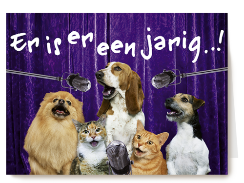 Chromazone Er is er een jarig dieren