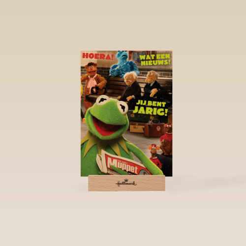 kermit de kikker met de krant