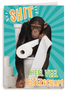 Beterschapskaart Grappig Shit heel veel beterschap