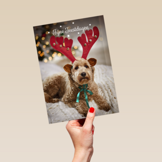 Kerstmis Hond Met Gewei