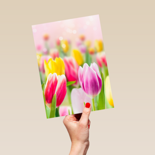 lente kaart tulpen voorjaar