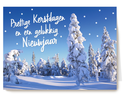 sneeuwlandschap