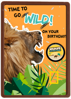 verjaardag kaart time to go wild