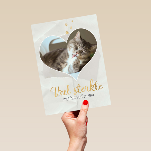 Fotokaart veel sterkte met verlies kat