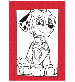 Paw Patrol Kleurboek