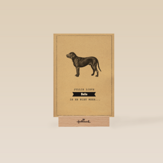 condoleance huisdier jullie lieve hond is er niet meer