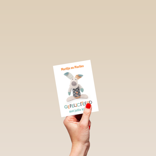gefeliciteerd knuffel