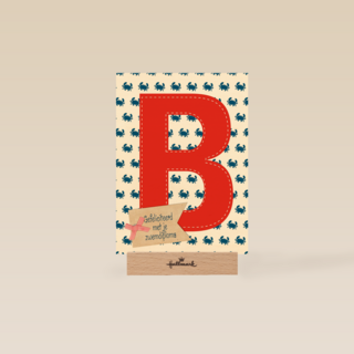 gefeliciteerd met je zwemdiploma B