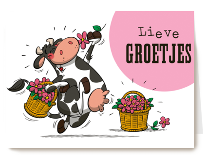 lente grappig koe lieve groetjes