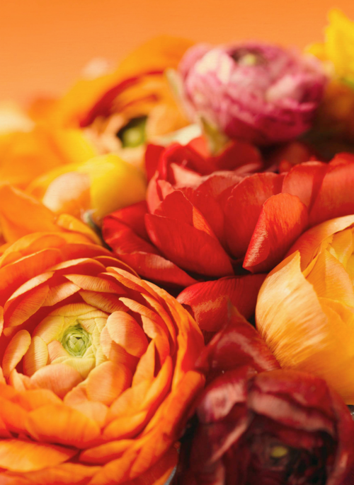 Houten Kaart | Boeket Van Bloemen In Herfstkleuren