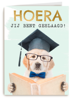 Hoera geslaagd slimme hond