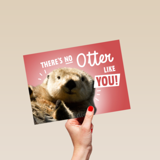 theres no otter like you