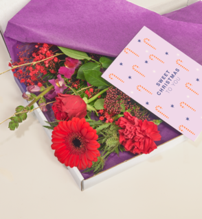 Brievenbusbloemen Ruby Joy