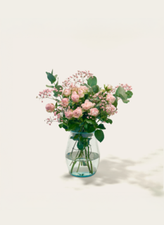 Brievenbusbloemen Ombre Rosa