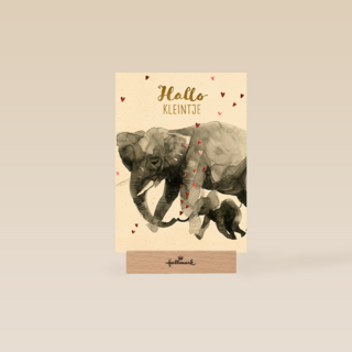 Geboortefelicitatie olifant hallo kleintje