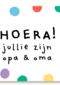 geboorte kleinkind confetti hoera jullie zijn opa en oma