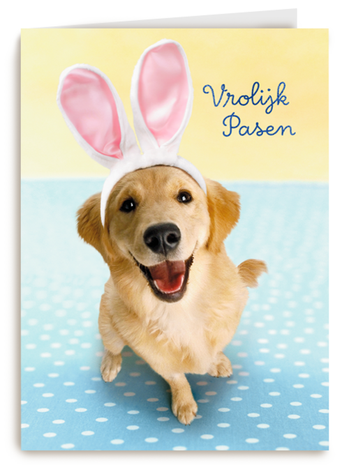 Pasen kaart hond met Paashaas oren