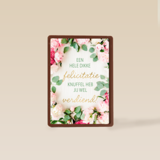 gefeliciteerd kaart felicitatieknuffel heb jij wel verdiend