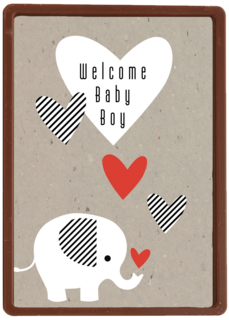 elephant welcome baby boy