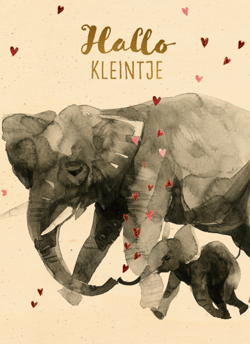 Houten Kaart Geboorte Felicitatie | Houten Kaart Hallmark | Geboorte Felicitatie | Geboortefelicitatie Olifant Hallo Kleintje