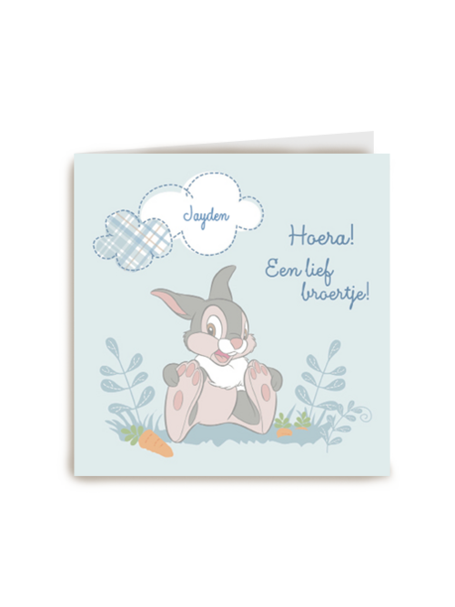 disney baby hoera een lief broertje