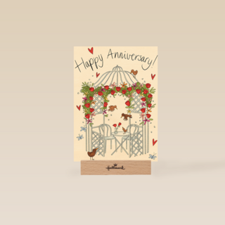 Matia Happy Anniversary